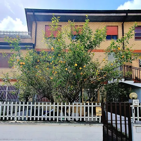 Lemon Tree House Apartment