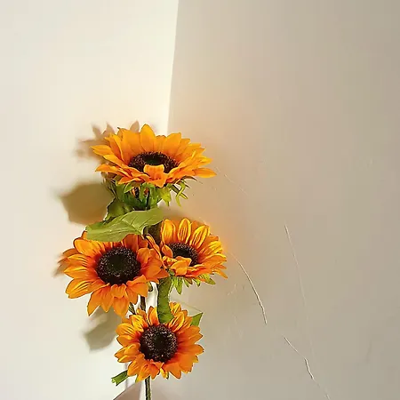 Apartamento Lemon Tree House *