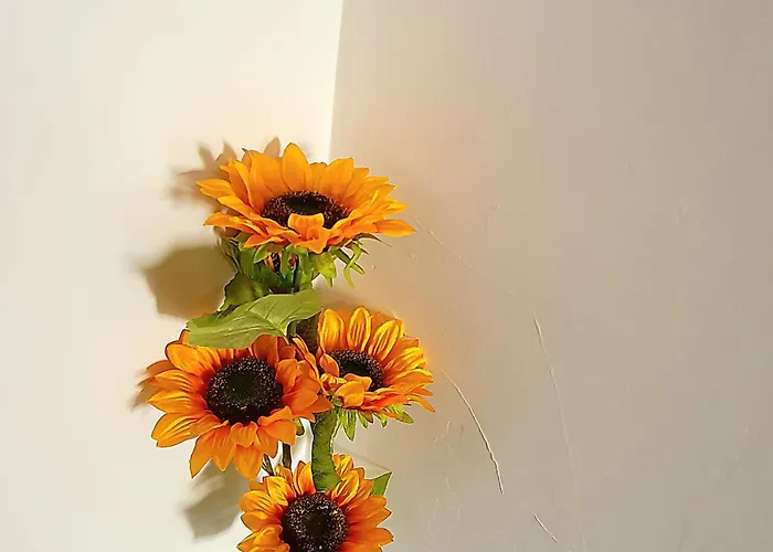 Apartment Lemon Tree House *